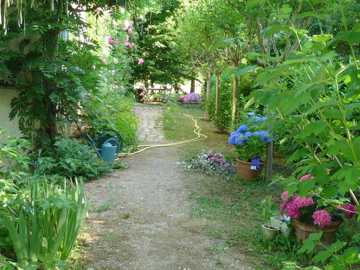 L'orée du bois Luzech Exterior foto